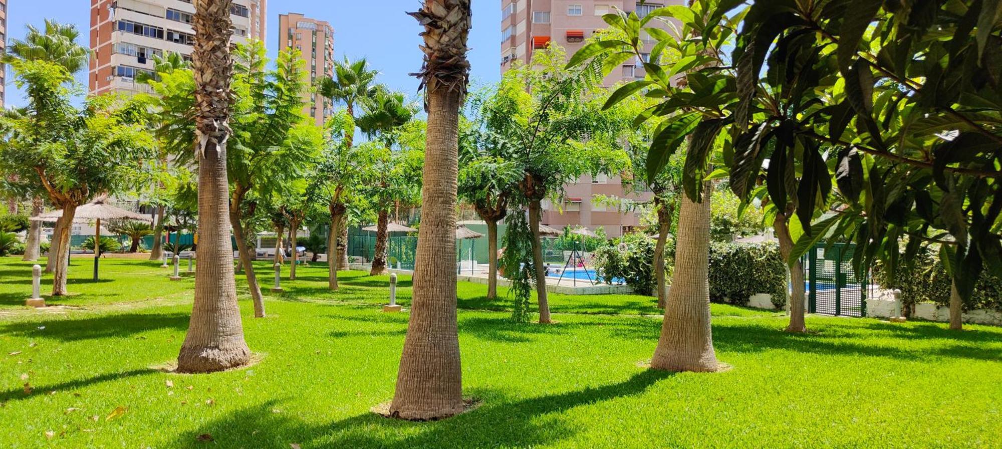 Arcadio Quero Parque Torresol *